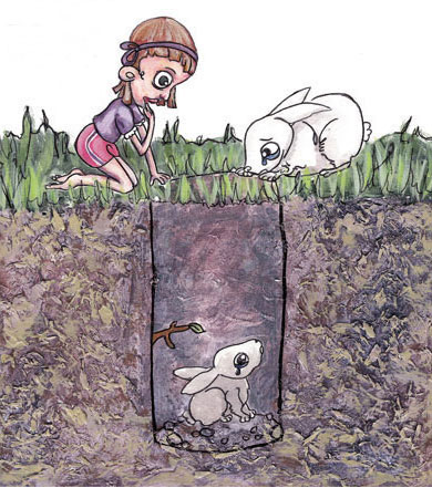 Image of Book Illustration: The Lost Bunny