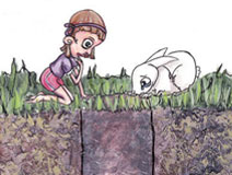 Book Illustration