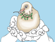 Peace Dove